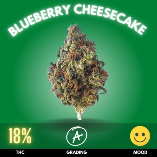 Blueberry Cheesecake is a delightful cannabis strain that tantalizes the senses with its unique blend of sweet, fruity flavors