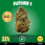 Future 1 is a contemporary cannabis strain that stands out for its remarkable THC potency
