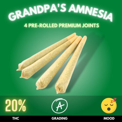Introducing Grandpa's Amnesia, a unique pre-rolled joint 4-pack that combines the legendary Granddaddy Purple with the cerebral Amnesia. This blend creates a beautifully balanced hybrid, leaning slightly towards indica, offering a harmonious blend of mind and body effects. With a THC level typically around 18-22%, Grandpa's Amnesia delivers a moderate yet profoundly satisfying experience, perfect for those who appreciate a well-rounded high.