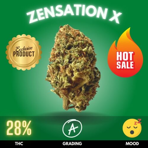Zensation X emerges as a formidable Indica-dominant hybrid, skillfully crafted by Maxx Nuggs in Chiang Mai exclusively for PrikPot. This strain is a potent cross between the tranquil "Zensation" and the powerful "Amnesia," boasting an impressive 28% THC content