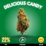 Delicious Candy. This indica-dominant hybrid with a THC level around 22%