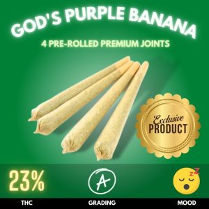 God's Purple Banana pre-rolled joint 4-pack, a divine blend of God's Glue and Banana Purple Punch