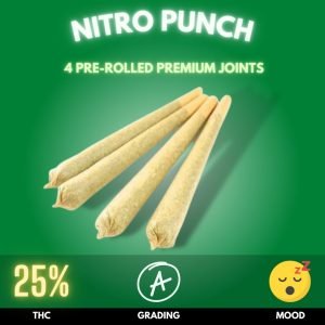 Embark on an exhilarating journey with our Nitro Punch pre-rolled joint 4-pack, a dynamic blend designed for the cannabis connoisseur. Nitro Punch is an indica-dominant hybrid, renowned for its potent effects and deep relaxation properties. Boasting a high THC content, often ranging between 22-27%, this strain is tailored for those seeking a profound, full-bodied experience.