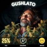 Gushlato, an exotic  hybrid cannabis masterpiece that marries the essence of relaxation with euphoric whispers. Boasting a THC potency that oscillates around 25%, this strain is a harmonious blend of 50% Sativa and 50%