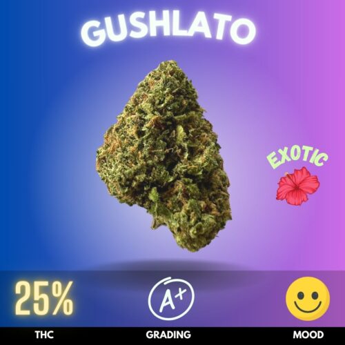Gushlato, an exotic  hybrid cannabis masterpiece that marries the essence of relaxation with euphoric whispers. Boasting a THC potency that oscillates around 25%, this strain is a harmonious blend of 50% Sativa and 50%