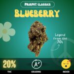 Blueberry, an A-list classic indica-dominant hybrid that has enchanted cannabis connoisseurs for decades with its deep, relaxing effects and a THC level that comfortably sits around 20%