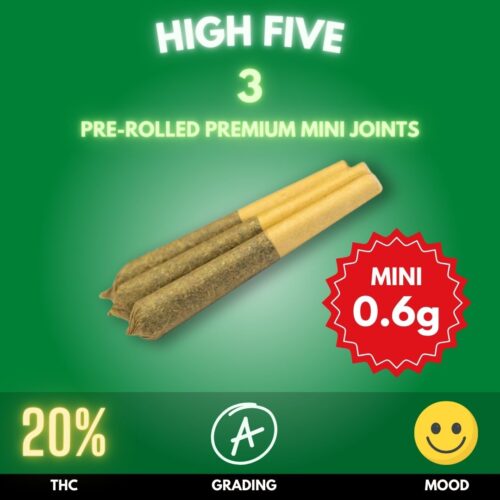 High Five pre-rolled dogwalker mini joints made from Sativa.