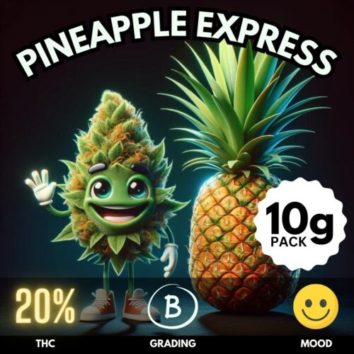 Pineapple Express is a beloved hybrid strain with a reputation that precedes itself