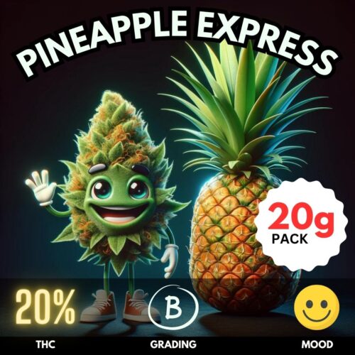 Pineapple Express is a beloved hybrid strain with a reputation that precedes itself