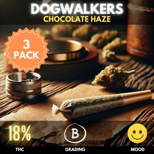 3-pack of Chocolate Haze Dogwalker Mini Joints