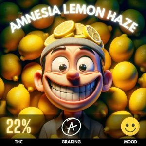 Amnesia Lemon Haze. This Sativa-dominant hybrid with a THC level around 22%