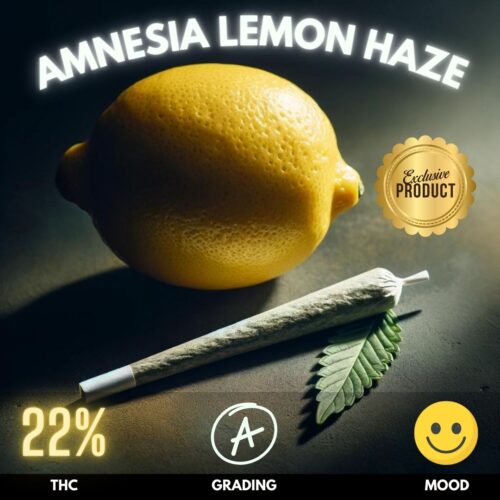 Our pre-rolled joints feature the exceptional Amnesia Lemon Haze strain, renowned for its invigorating citrus scent that combines the freshness of lemon