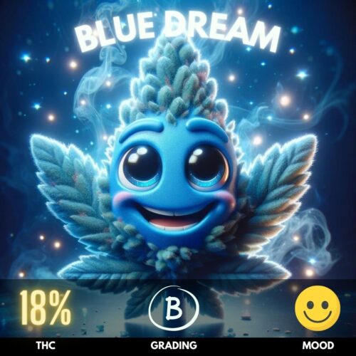 Blue Dream cannabis strain sold in Thailand.