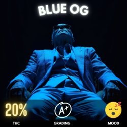 Blue OG weed strain sold online in Thailand.