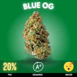 Blue OG weed strain sold online in Thailand.