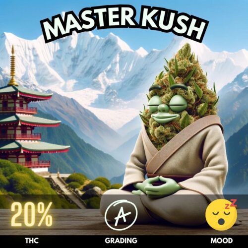 Master Kush sold online in Thailand. Indica dominant cannabis strain.