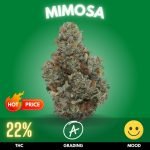 Mimosa cannabis flower sold in Thailand.