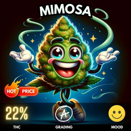 Mimosa cannabis sativa strain sold in Thailand.