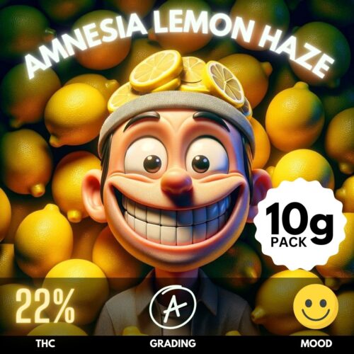 Amnesia Lemon Haze. This Sativa-dominant hybrid with a THC level around 22%