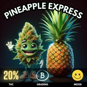 Pineapple Express is a beloved hybrid strain with a reputation that precedes itself