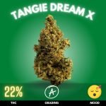 Tangie Dream crossed with Afghan Hash Plant results in a uniquely balanced hybrid, melding Tangie Dream’s uplifting sativa characteristics with the deeply relaxing indica traits of Afghan Hash Plant