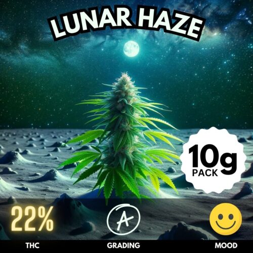 Lunar Haze by Elon Musk