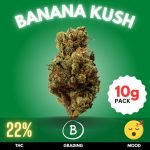 Banana Kush, a captivating cannabis strain with a memorable banana aroma, is a favorite among enthusiasts for its sweet, fruity flavor profile. This strain typically features a THC content ranging from 18% to 25%