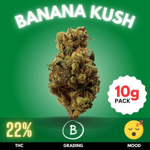 Banana Kush, a captivating cannabis strain with a memorable banana aroma, is a favorite among enthusiasts for its sweet, fruity flavor profile. This strain typically features a THC content ranging from 18% to 25%