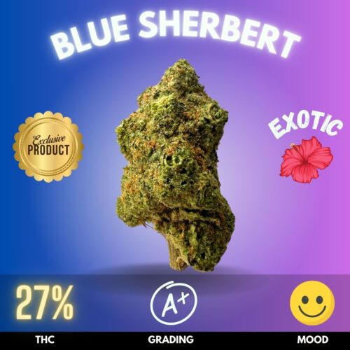 Blue Sherbert is an exotic cannabis strain sold online in Thailand.
