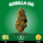 Gorilla OG is recognized for its therapeutic potential, providing relief from conditions such as chronic pain, insomnia, and stress