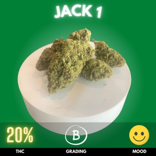 Jack 1 cannabis strain for sale in Thailand.