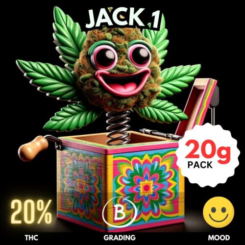 Jack 1 cannabis strain for sale in Thailand.