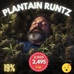 Plantain Runtz, a cannabis strain that marries the playful charm of Runtz with the soothing allure of plantains