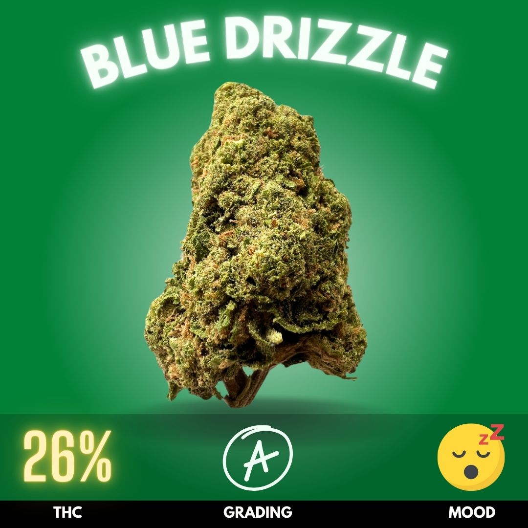 Blue-Drizzle-cannabis-strain-thailand-online Blue Drizzle x Blueberry Chem 91