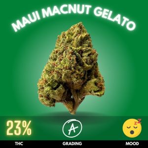 Maui Macnut Gelato