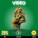 Future 1 Strain Video