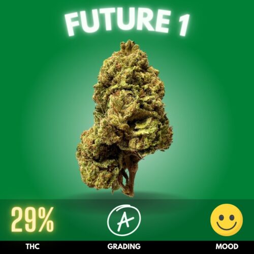 Future 1 cannabis Thailand sold online.