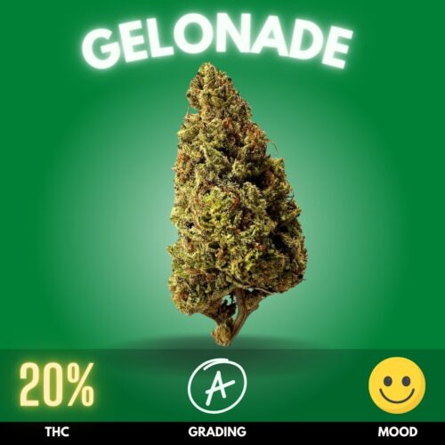 Gelonade X Blueberry Chem 91