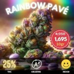 Rainbow Pavé is an exceptional cannabis strain, boasting a high THC content of 25%
