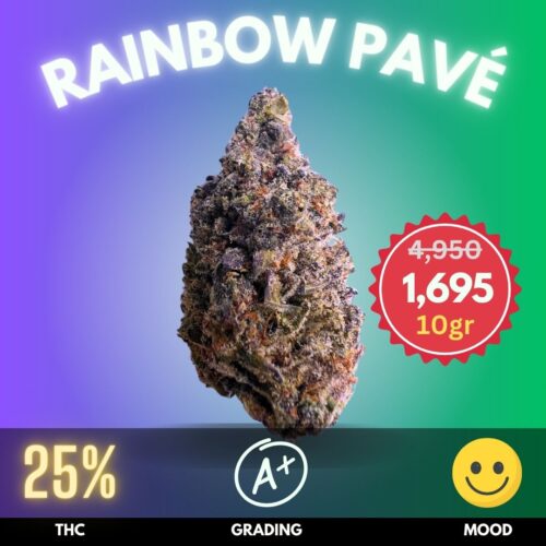 Rainbow Pavé is an exceptional cannabis strain, boasting a high THC content of 25%