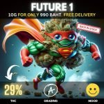 29% THC - Future 1 is back in stock