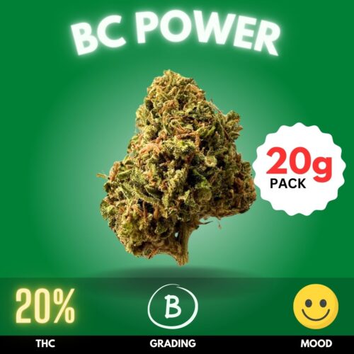 BC Power is a hybrid cannabis strain that skillfully balances the calming effects of Indica with the uplifting qualities of Sativa. Known for its high THC content