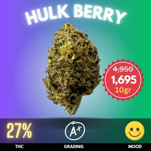 Hulk Berry is an exotic Sativa-dominant hybrid strain that packs a powerful punch with its high THC content
