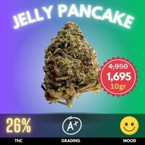 Jelly Pancake is an exotic hybrid strain known for its unique blend of flavors and potent effects