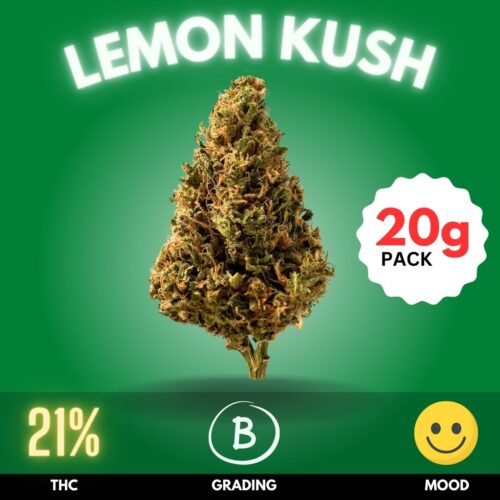 Lemon Kush is a balanced hybrid strain known for its refreshing lemon aroma and potent effects