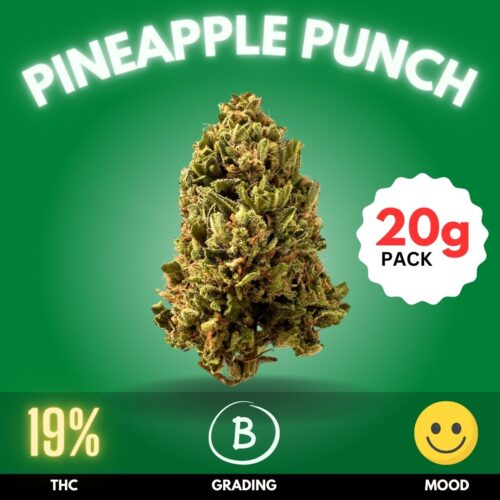 Pineapple Punch is a Sativa-dominant hybrid renowned for its tropical pineapple aroma and energizing effects