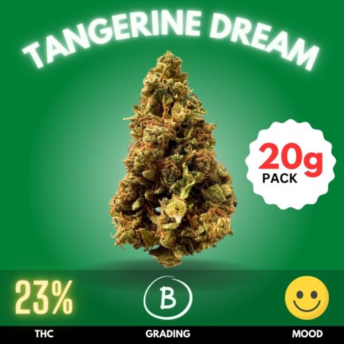 Tangerine Dream is a Sativa-dominant hybrid that delights users with its sweet citrus flavor and uplifting effects