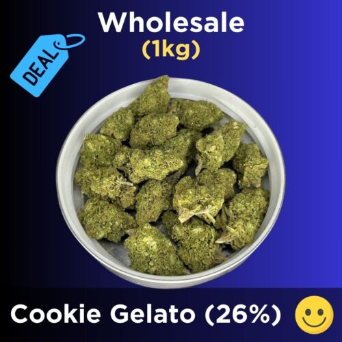 Cookie Gelato is a balanced hybrid strain, featuring equal parts Indica and Sativa characteristics, making it ideal for users seeking both relaxation and mental stimulation