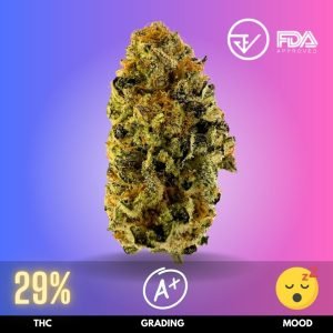 Godfather is a highly potent cannabis strain, celebrated for its exceptional strength and therapeutic benefits