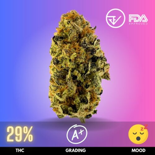 Godfather is a highly potent cannabis strain, celebrated for its exceptional strength and therapeutic benefits